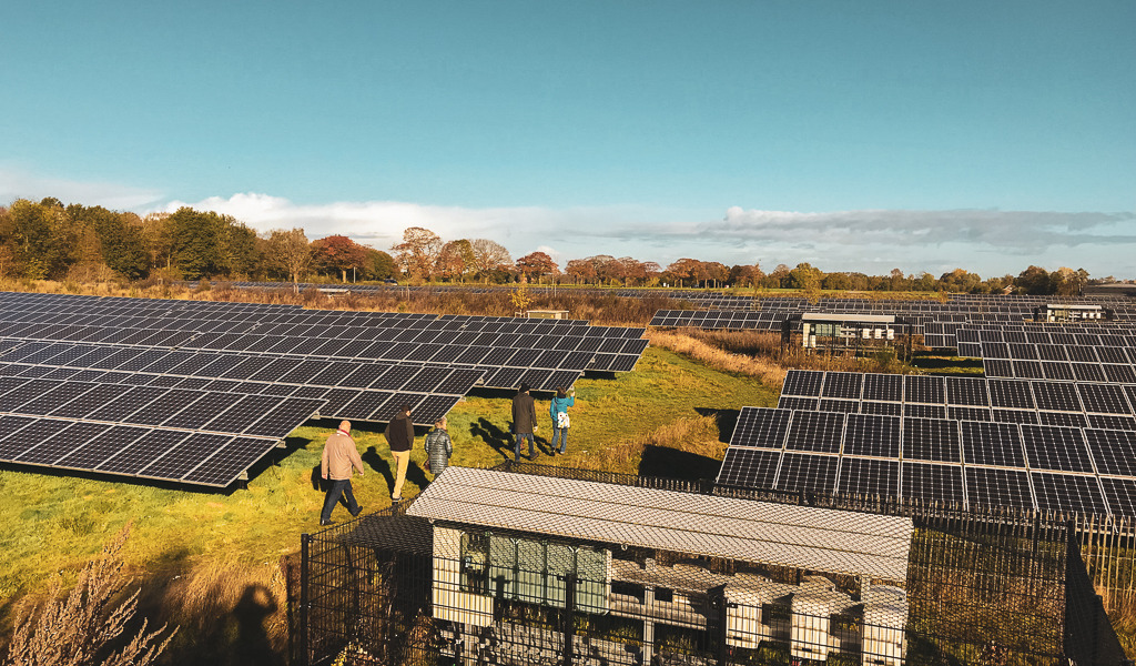 Picture of a solar park