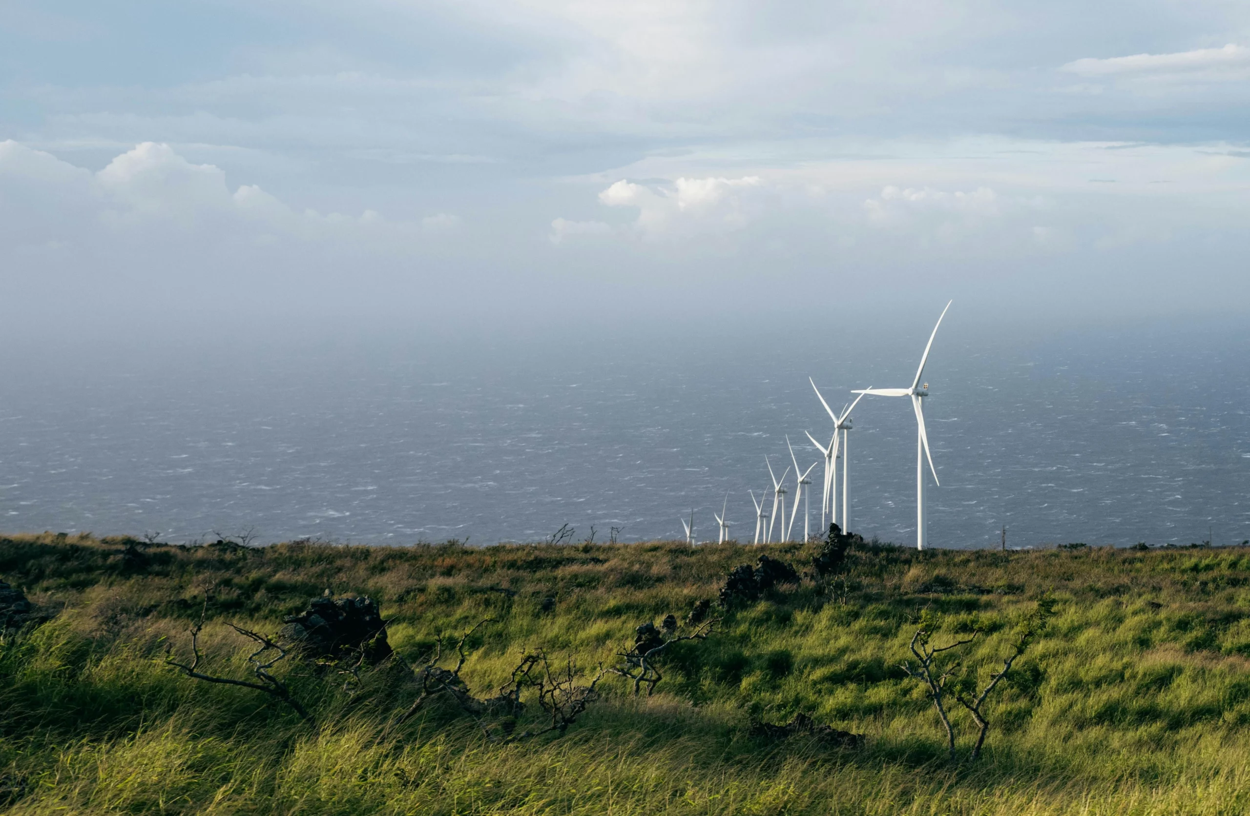 Illustrative picture: wind turbines