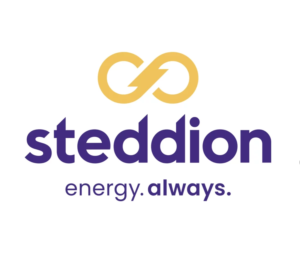 Steddion logo 