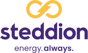 Steddion logo